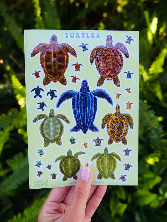 TURTLES sticker sheet