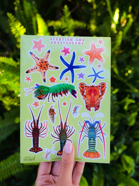 STARFISH AND CRUSTACEANS sticker sheet