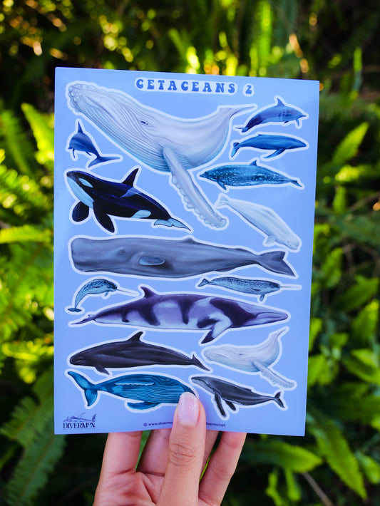 CETACEANS 2 sticker sheet