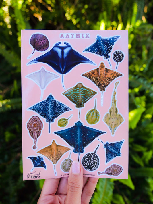 RAYMIX sticker sheet