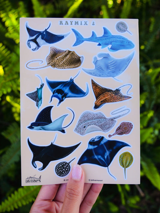 RAYMIX 2 sticker sheet