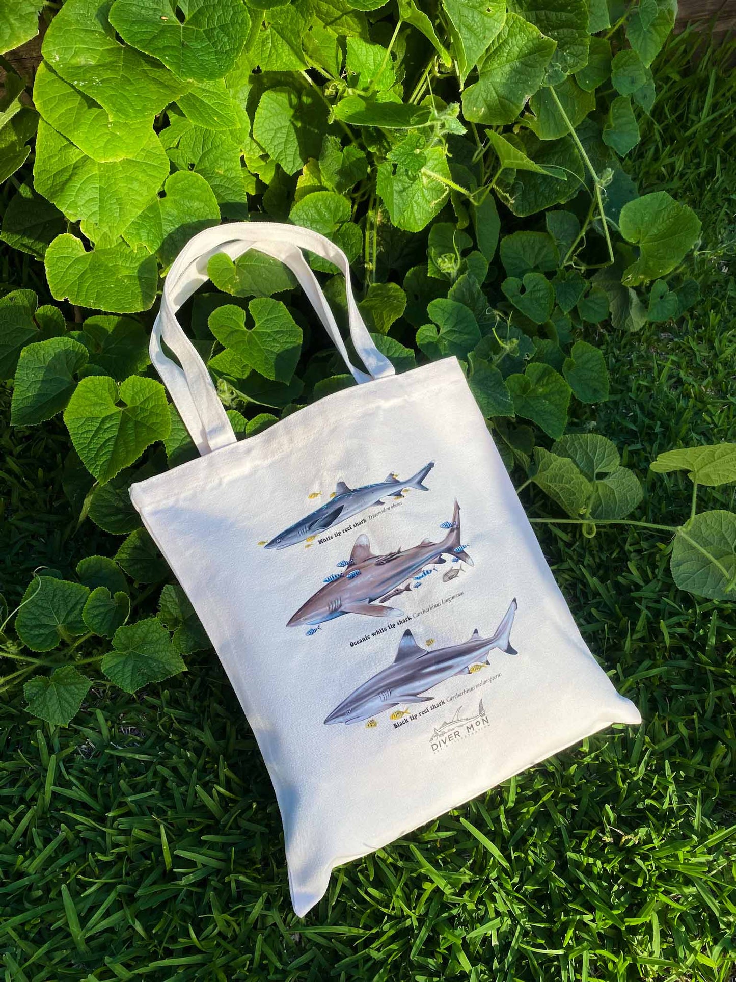 SHARKS TRIO TOTE BAG