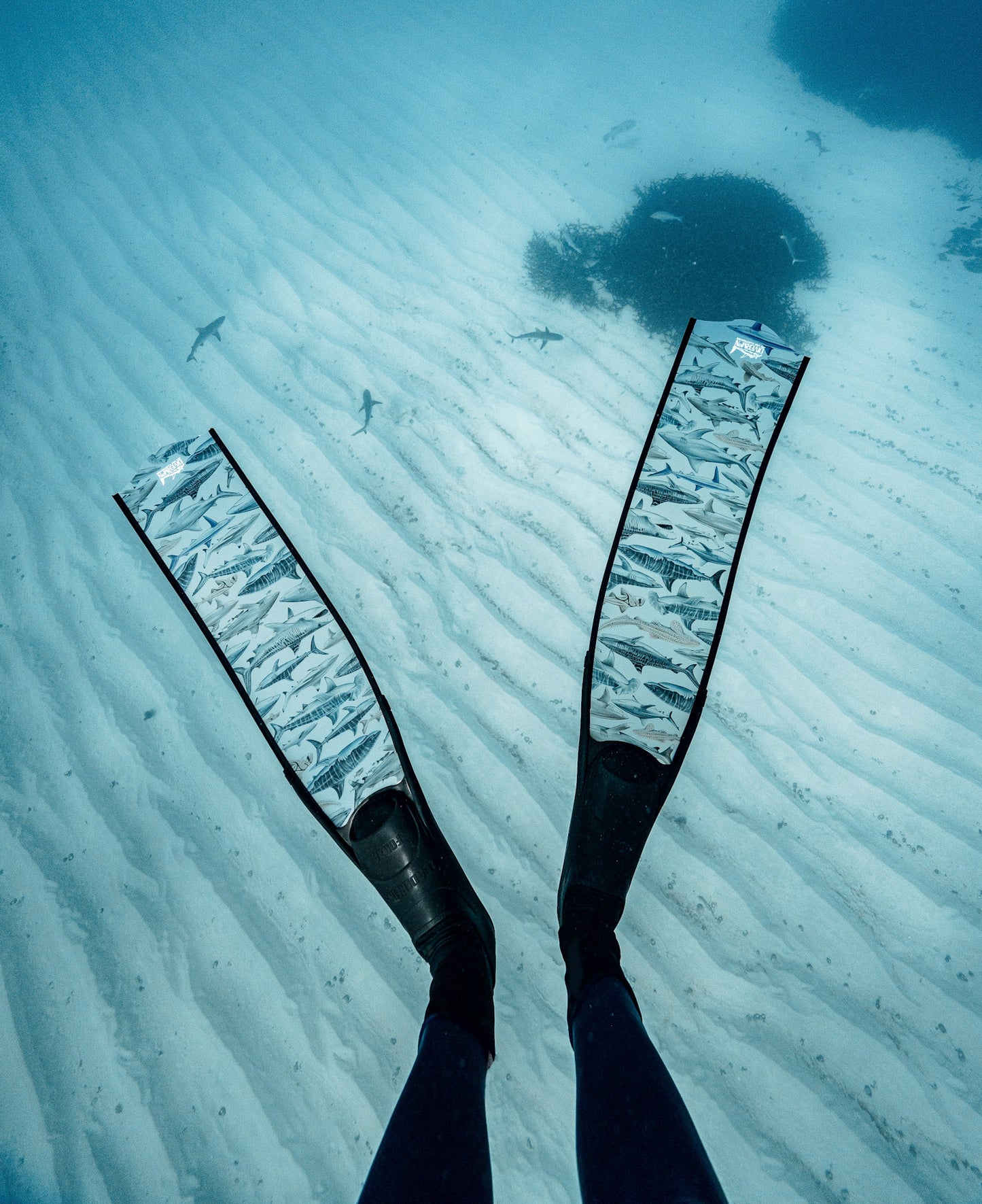 SHARK FREEDIVING FINS