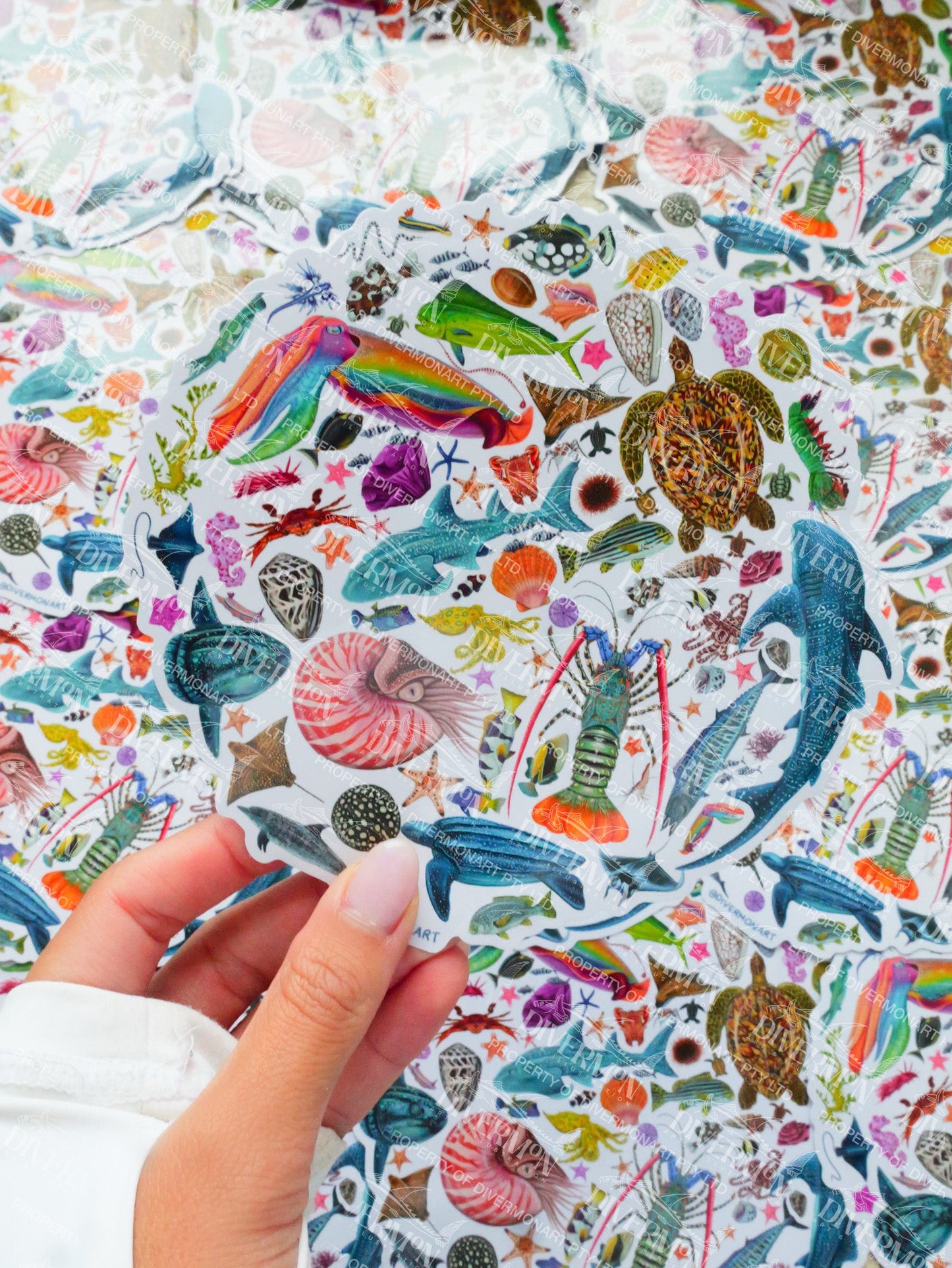 Rainbow Circle sticker