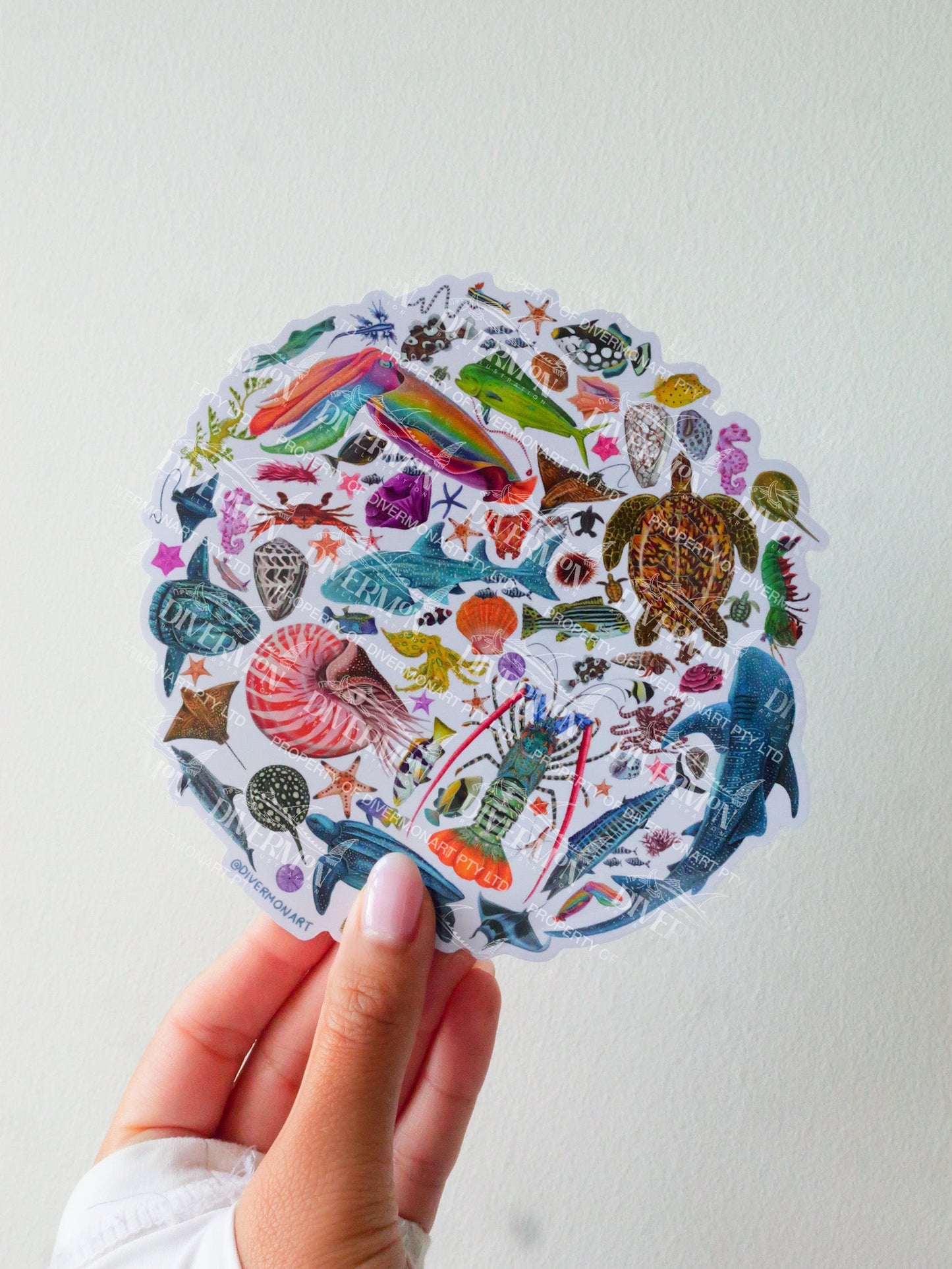 Rainbow Circle sticker