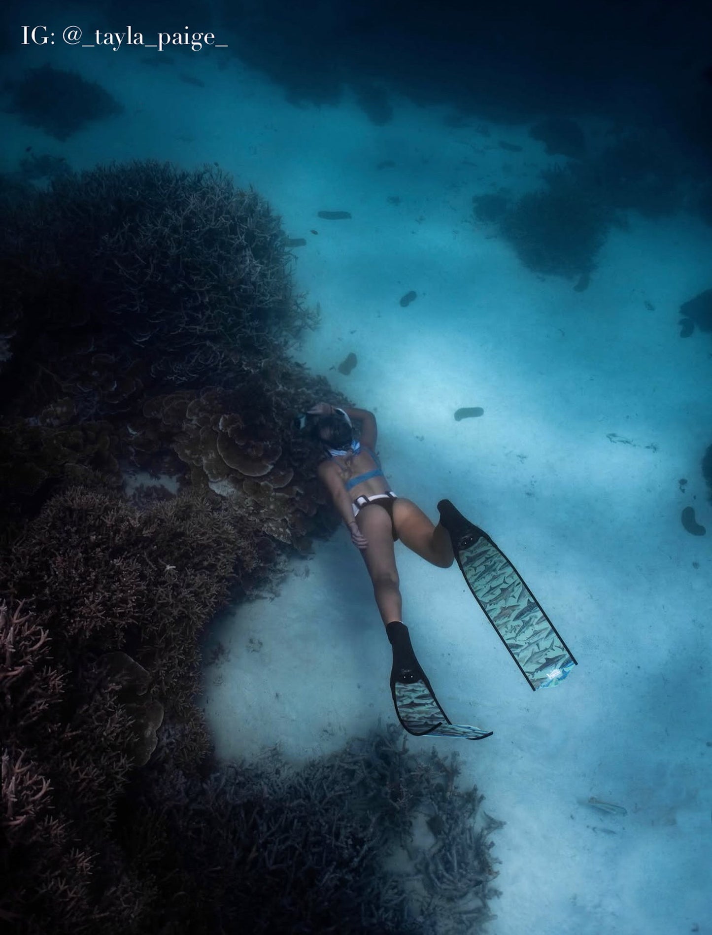 SHARK FREEDIVING FINS