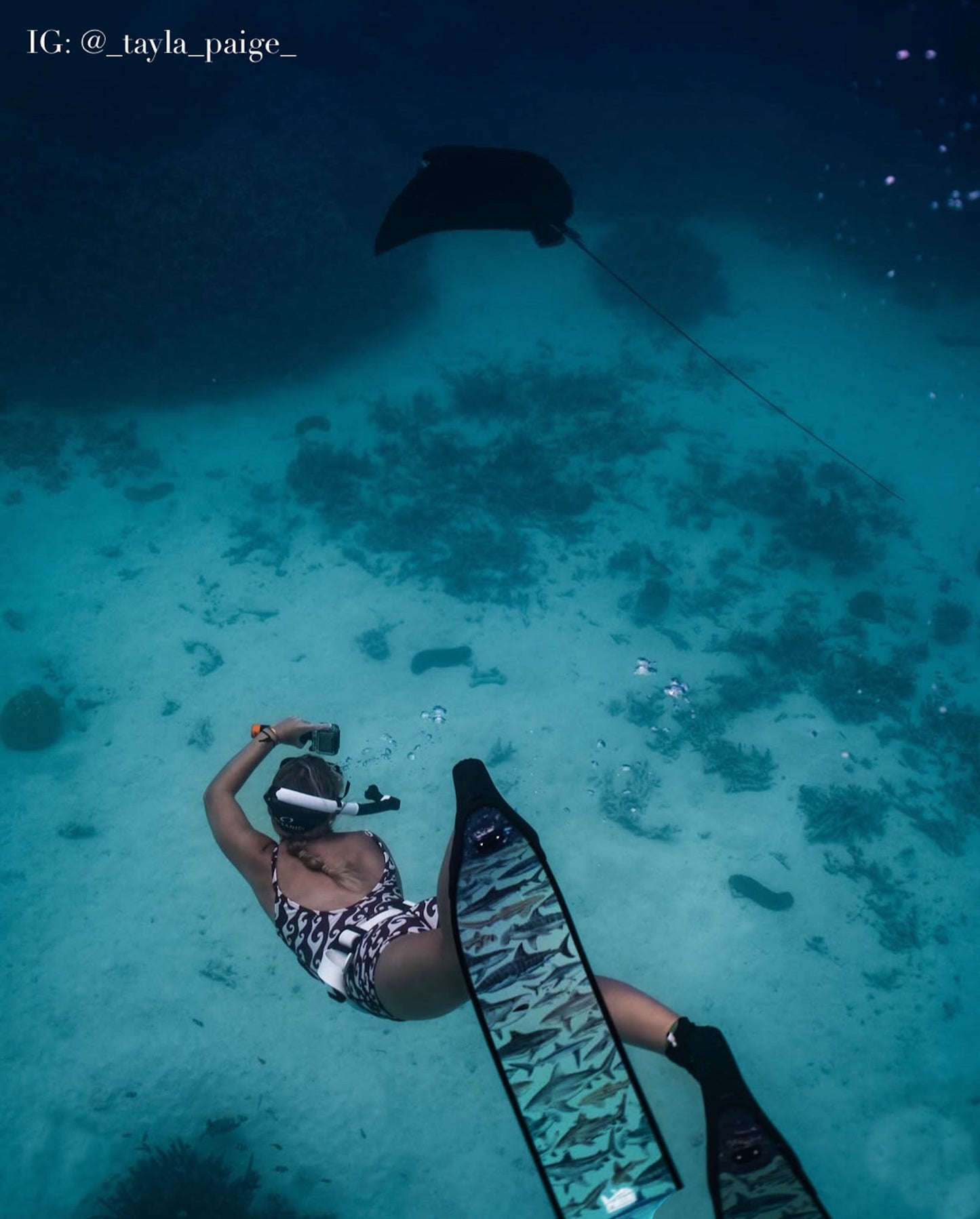 SHARK FREEDIVING FINS