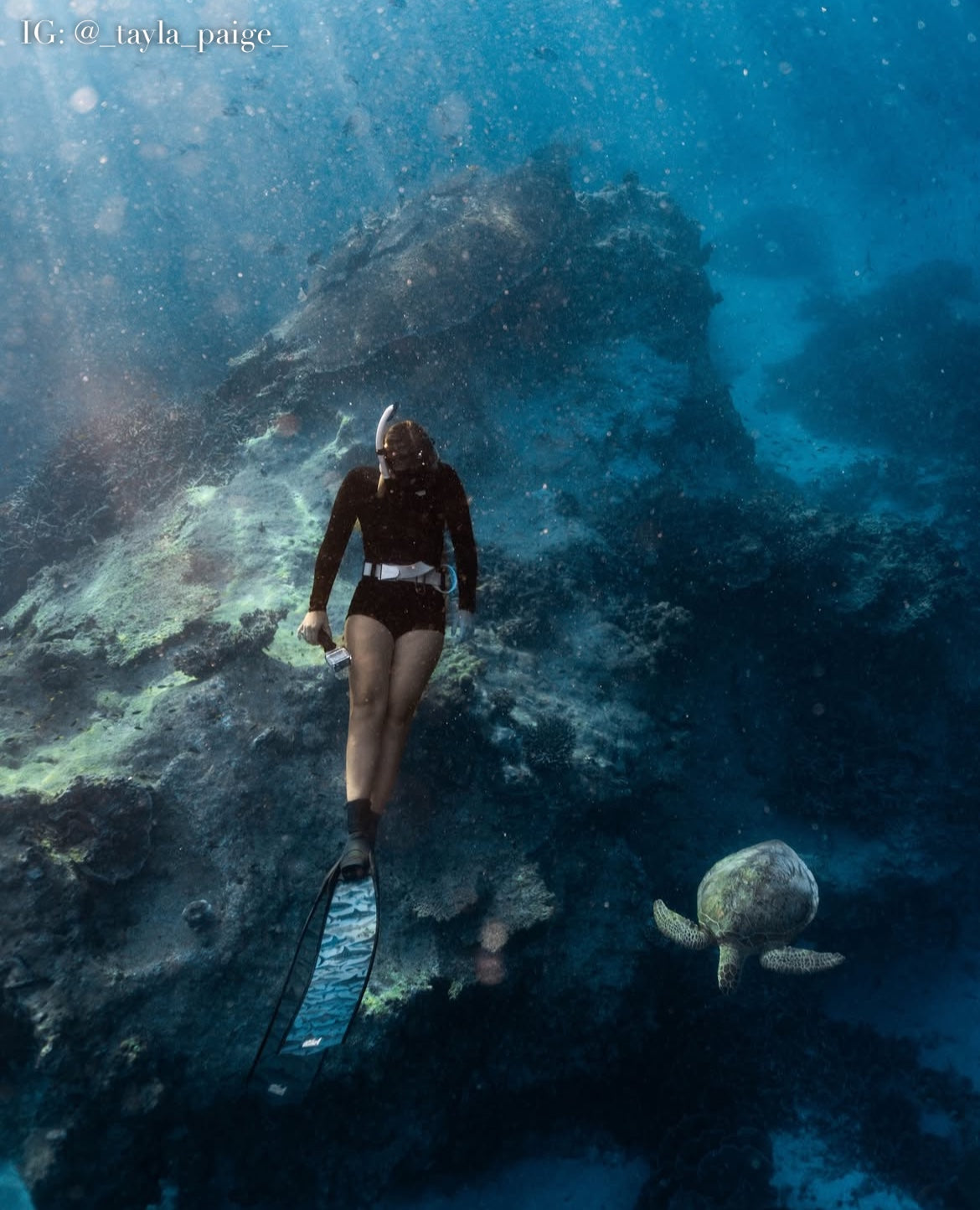 SHARK FREEDIVING FINS