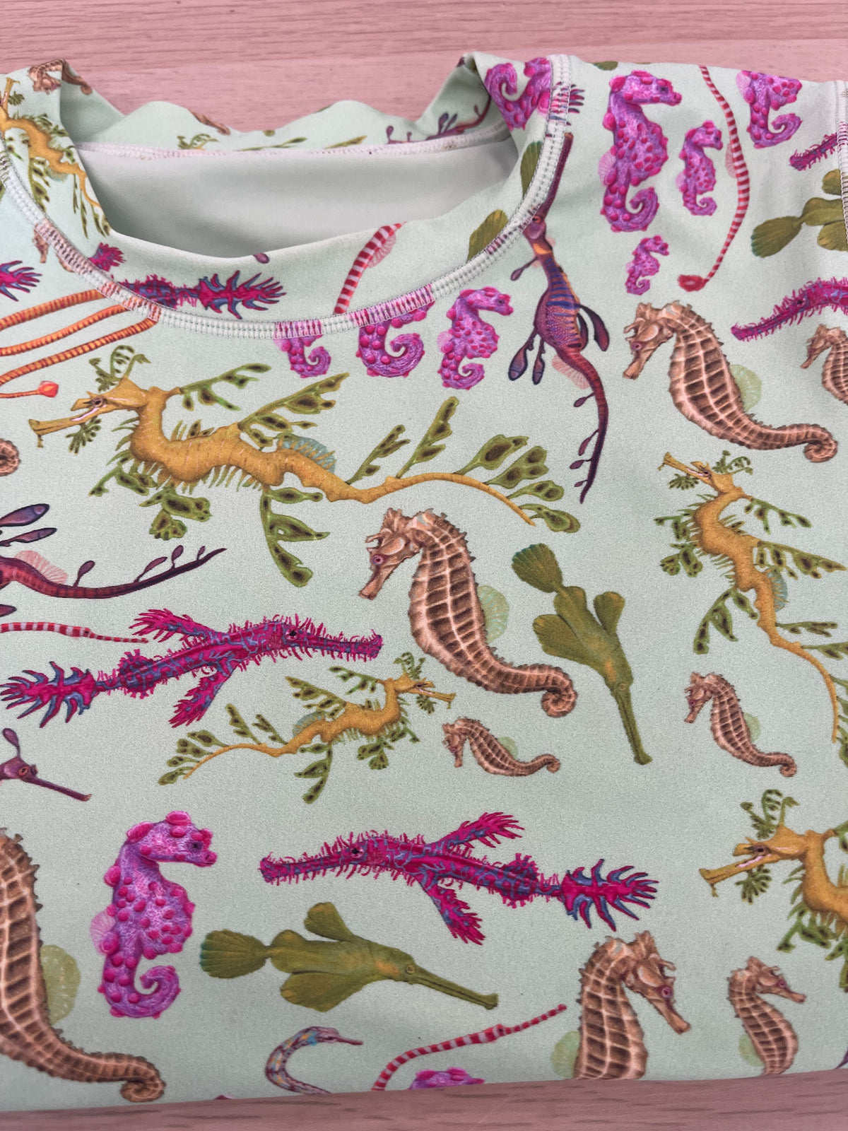 DISCOUNTED (USED) SEAHORSE RASHGUARD SWIMWEAR