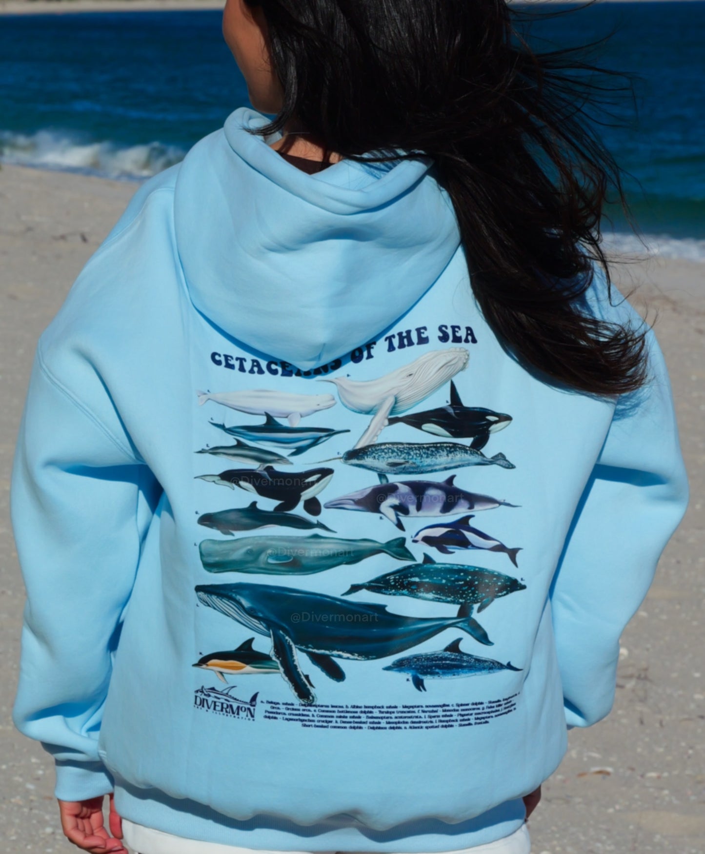 CETACEAN LIGHT BLUE HOODIE UNISEX