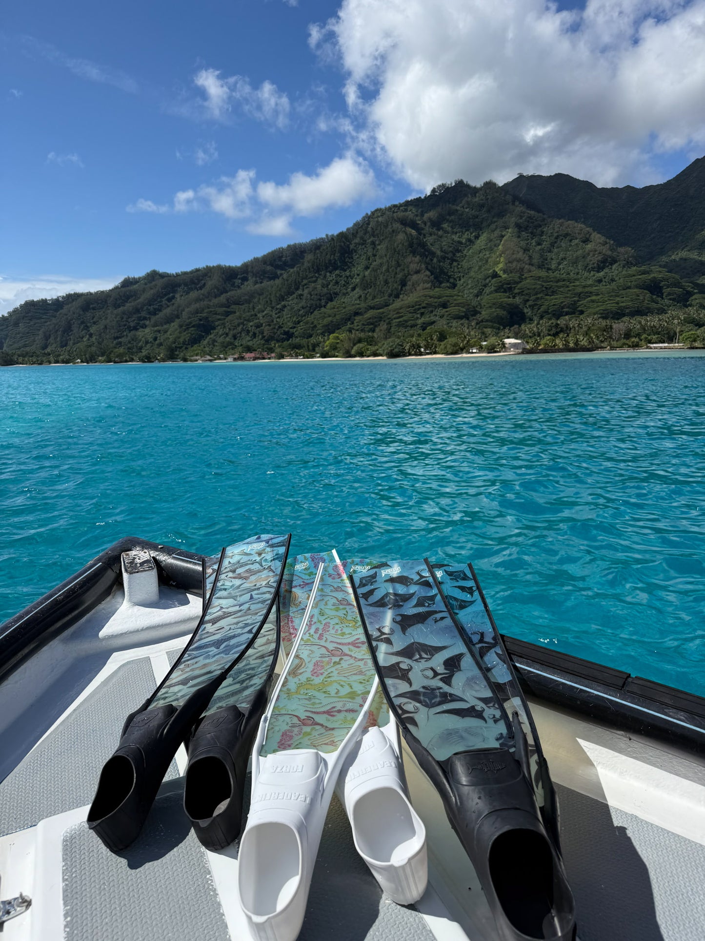 SEAHORSE FREEDIVING FINS