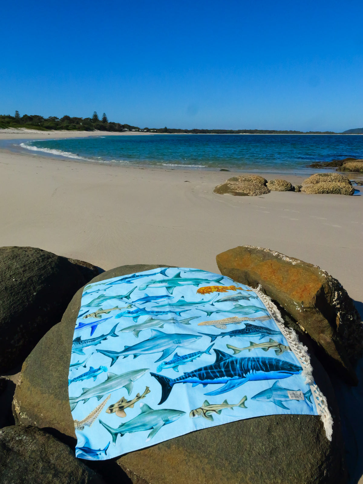 Shark towel XL