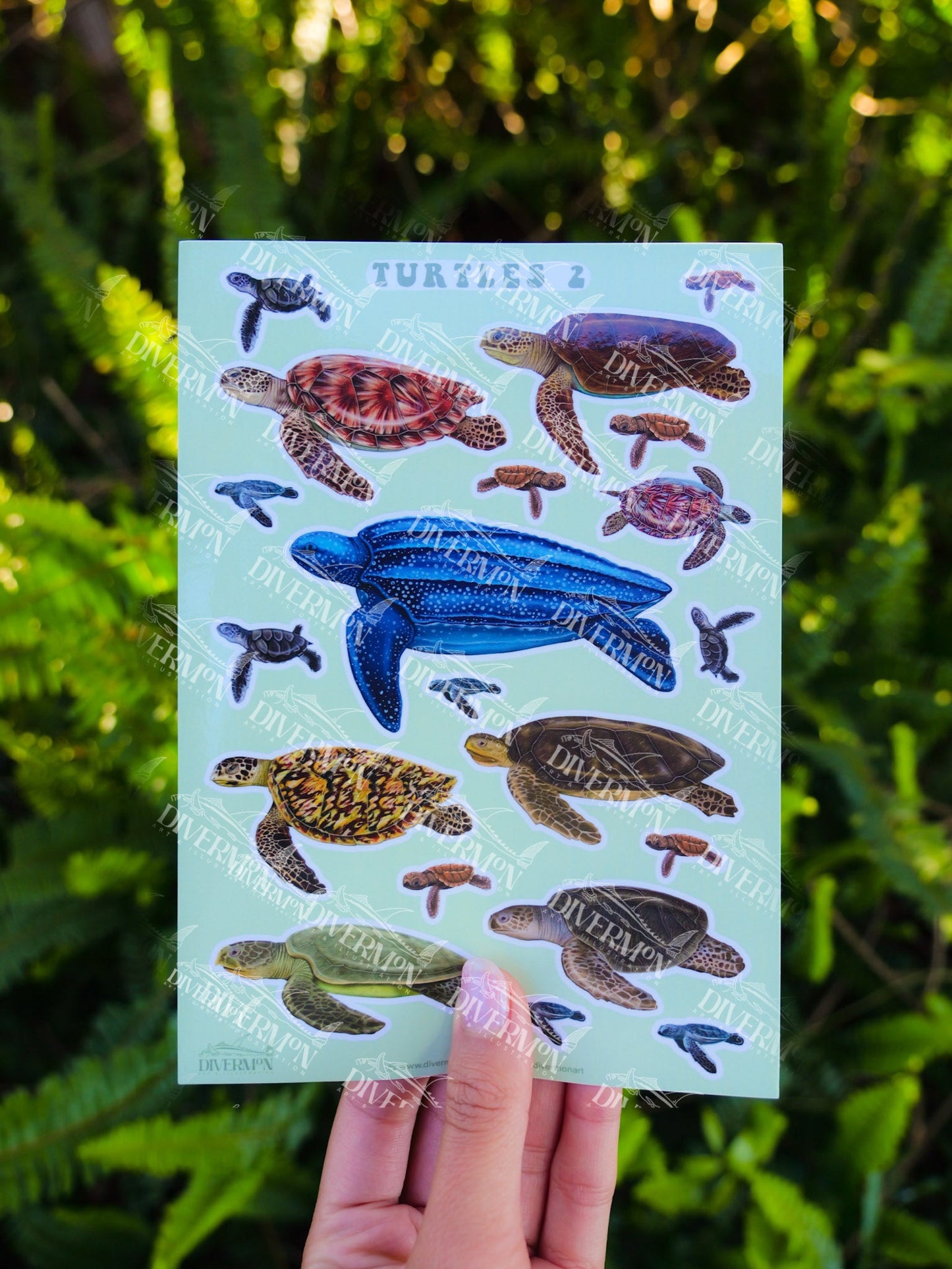 TURTLES 2 sticker sheet