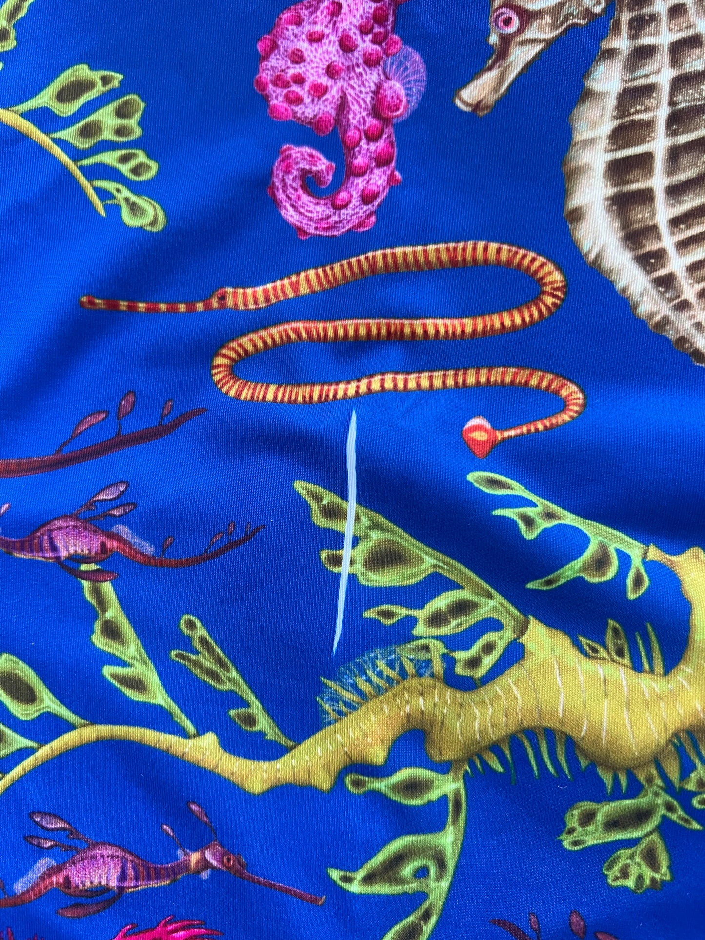 PRINT ERROR SEAHORSE GAITER HEADWEAR