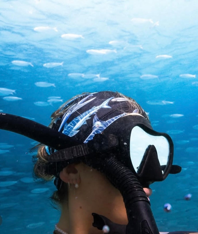 SHARKS BLACK GAITER