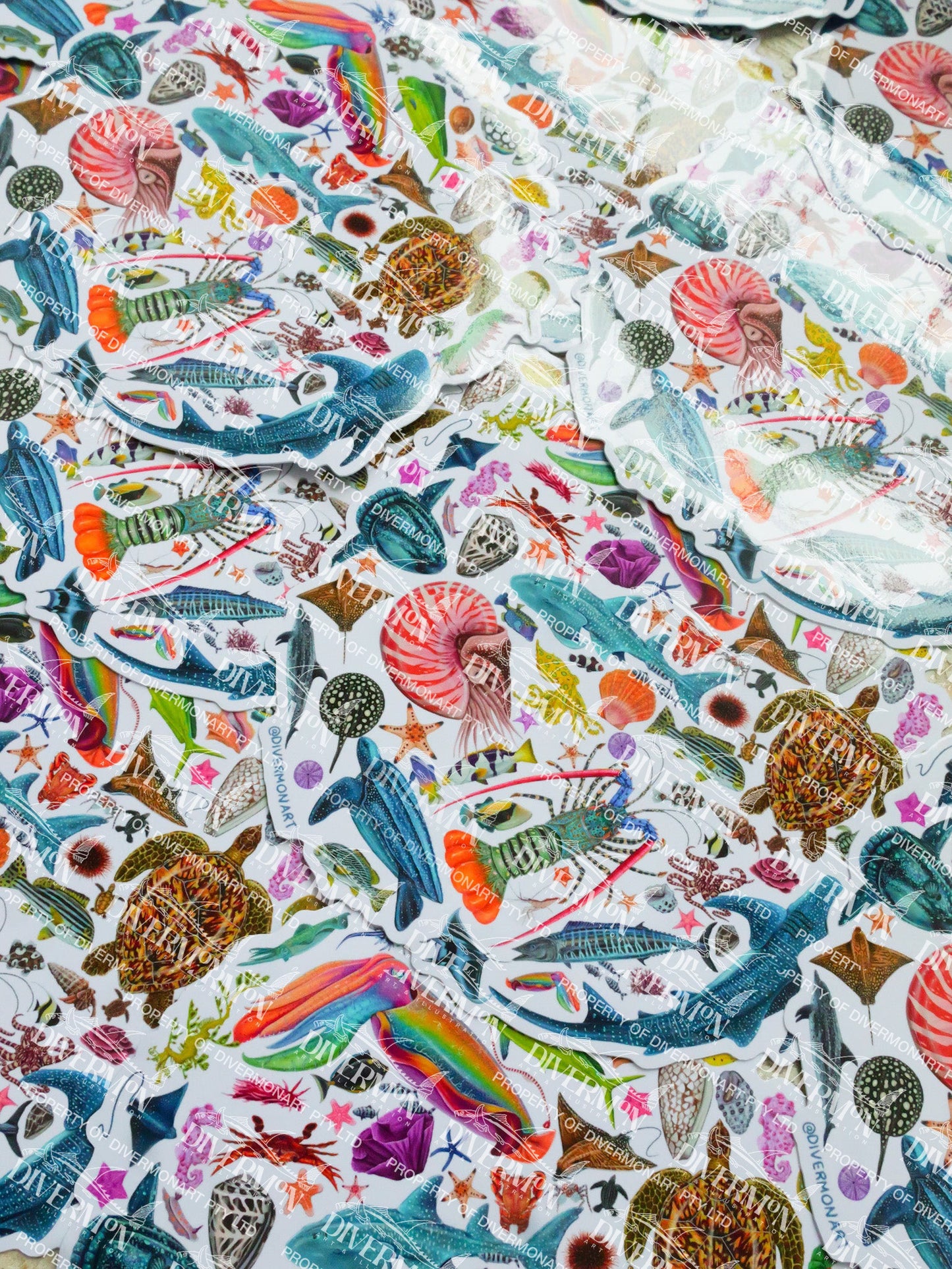 Rainbow Circle sticker