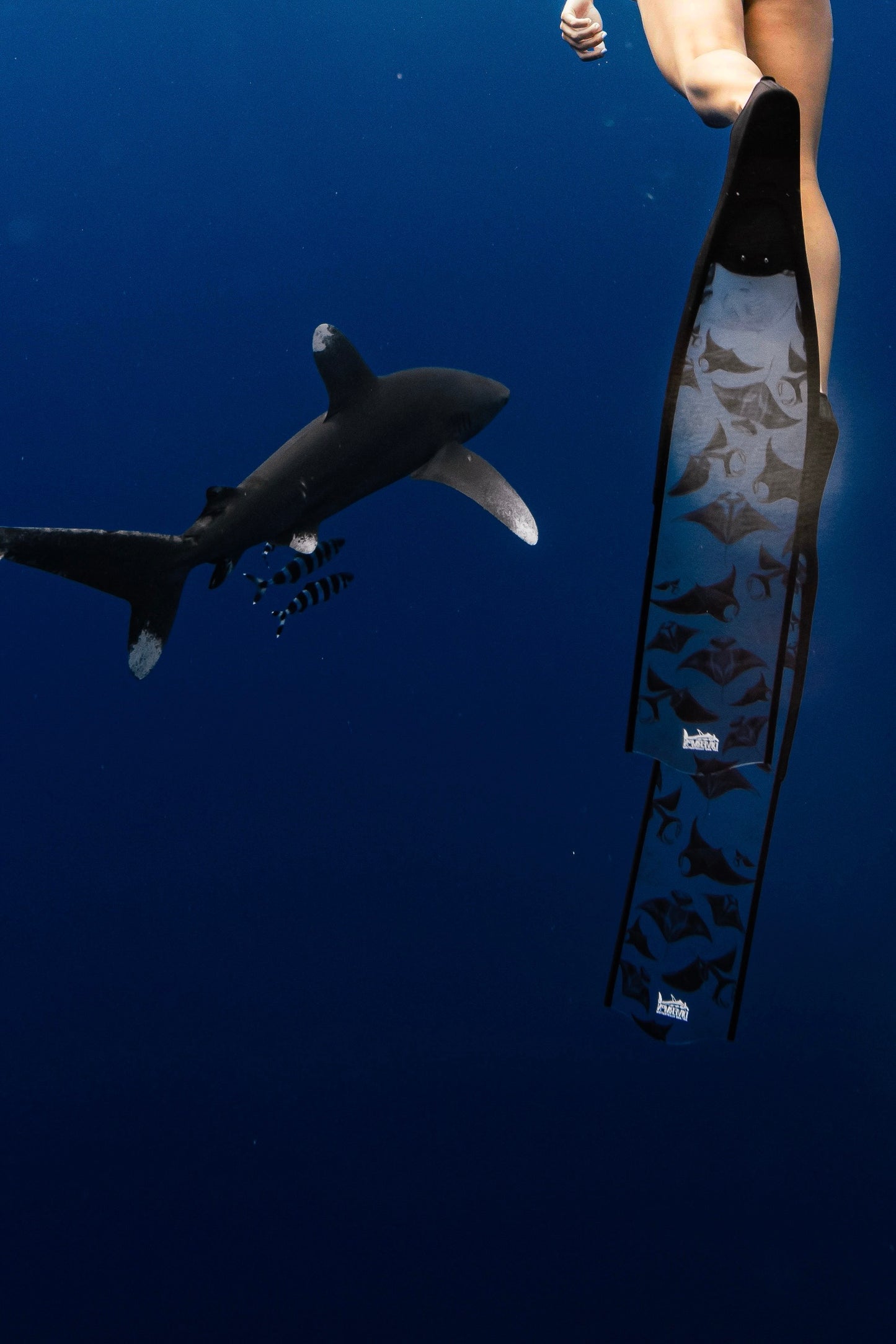 MANTA BLACK FREEDIVING FINS