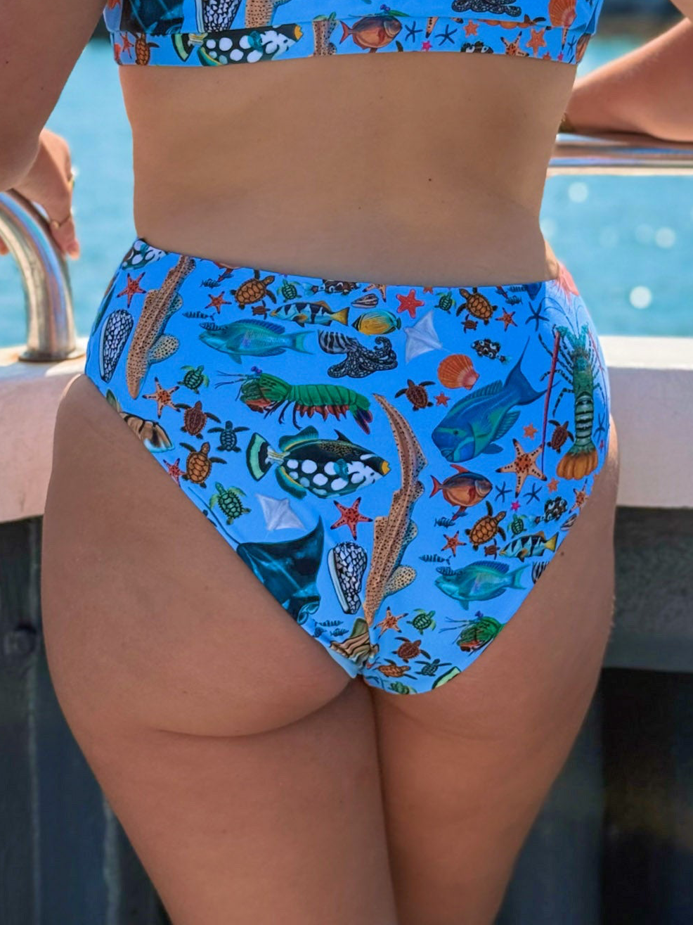 BOTTOMS OCEAN LIFE HIGH CUT BIKINI SWIMWEAR