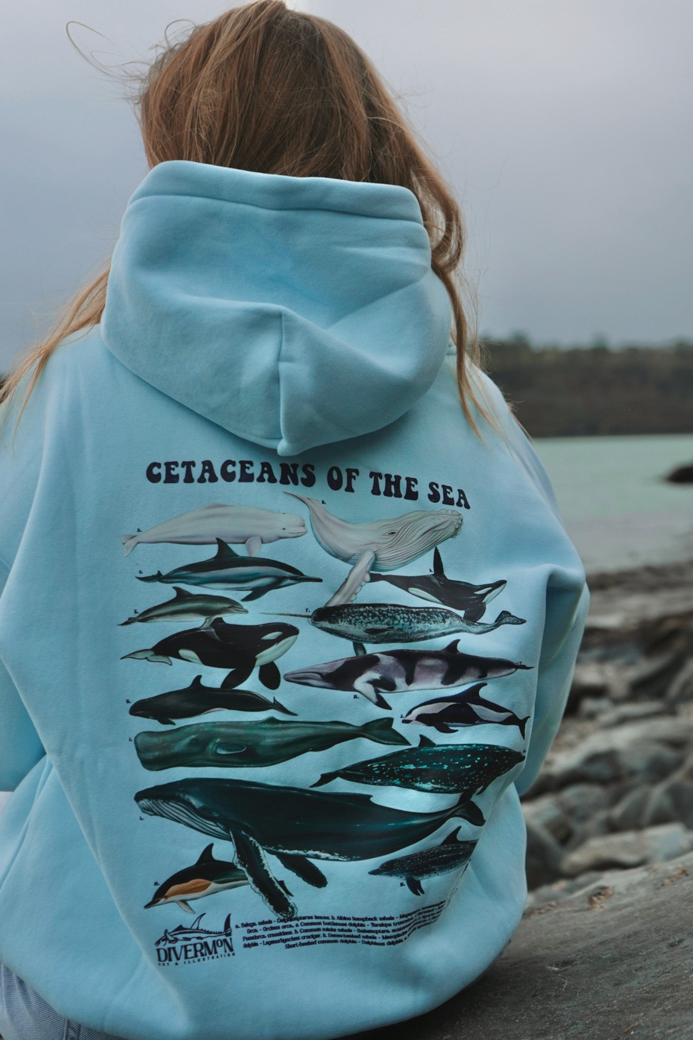 Cetacean Light Blue hoodie front graphic close up Divermon Art print