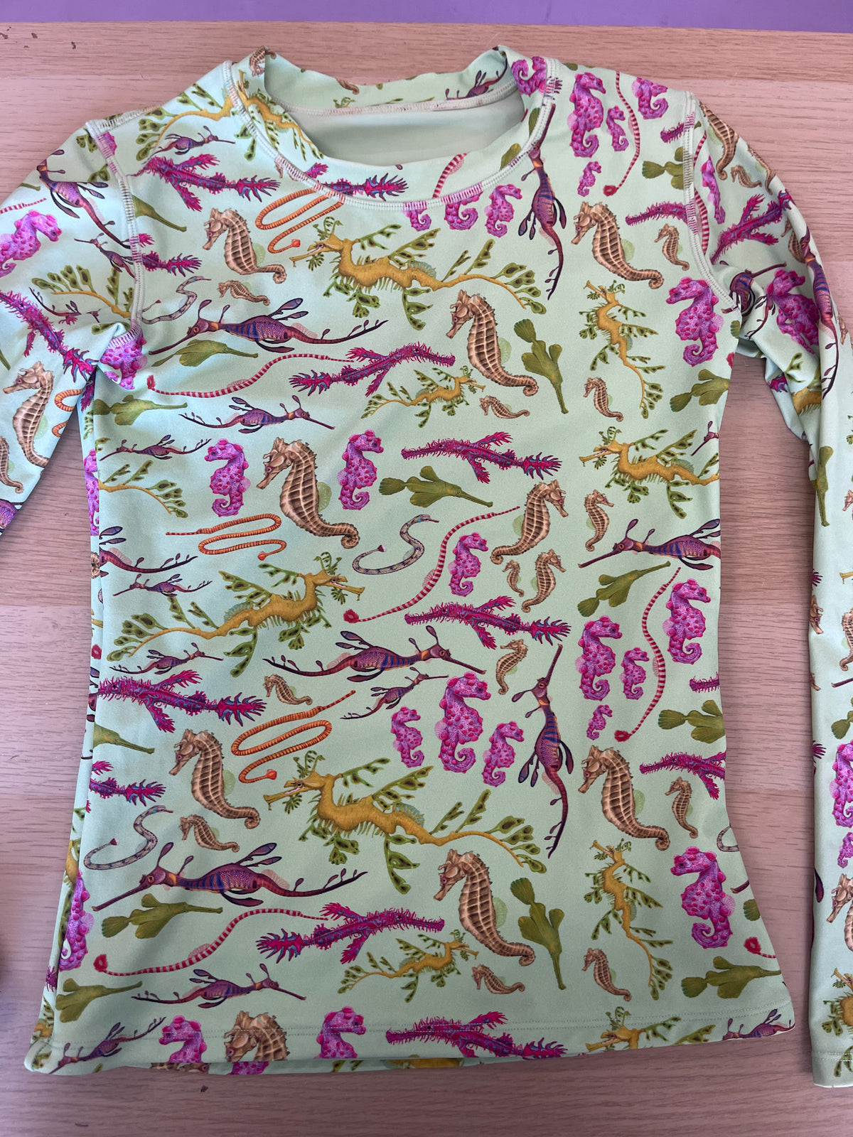 DISCOUNTED (USED) SEAHORSE RASHGUARD SWIMWEAR