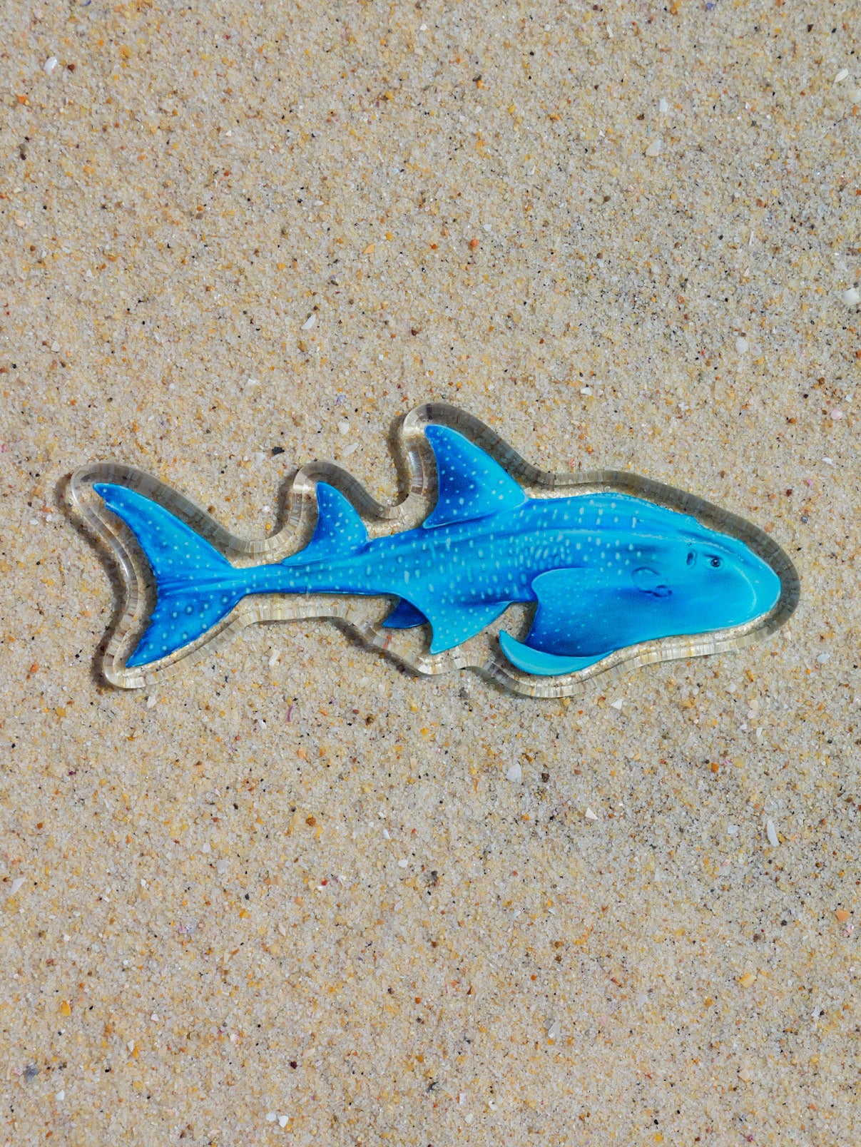 Blue guitarfish fridge magnet on sandy surface