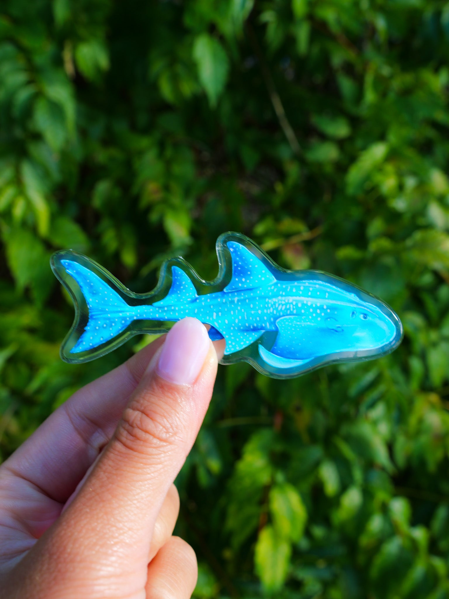Blue Guitar shark-shaped magnet held by a hand with a green leafy background