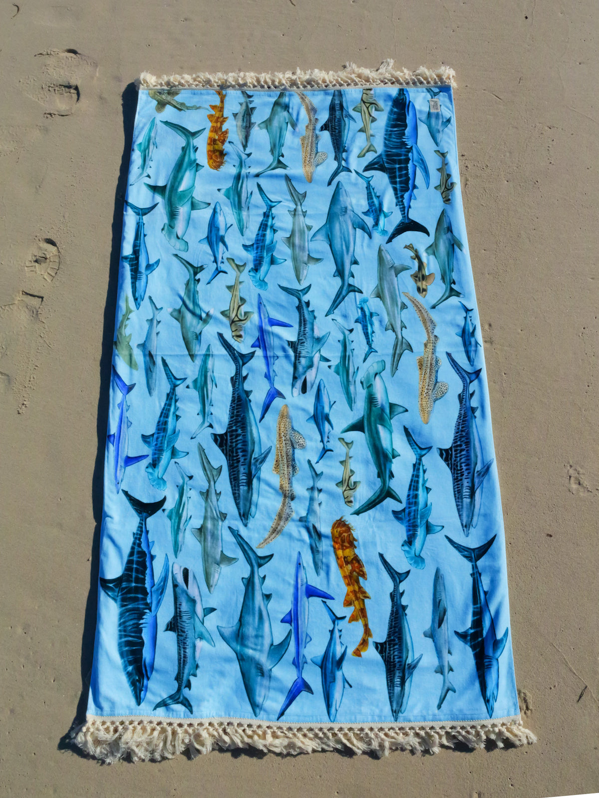 Shark towel XL