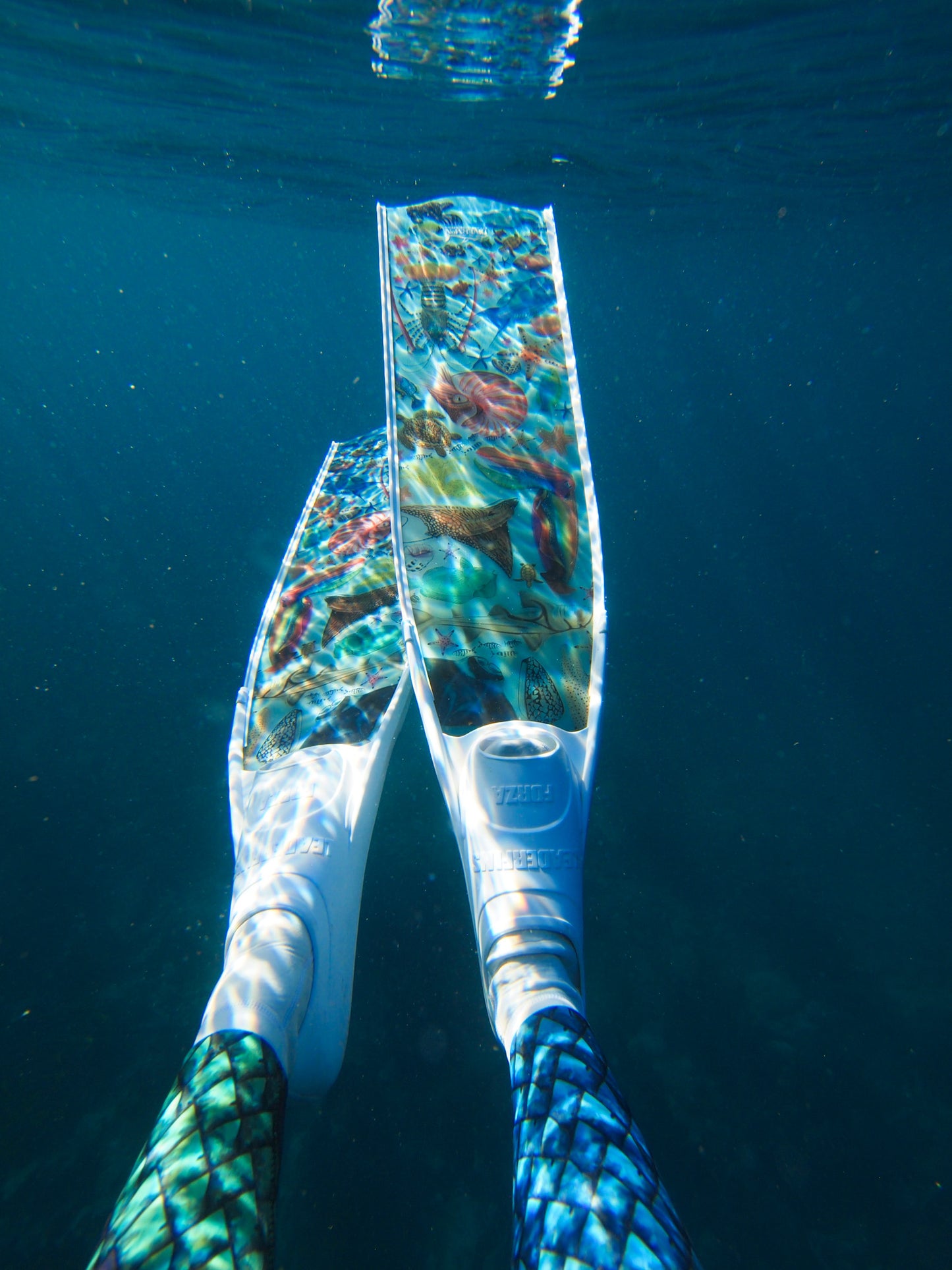 Rainbow White freediving fins blade detail showing Divermon ocean design