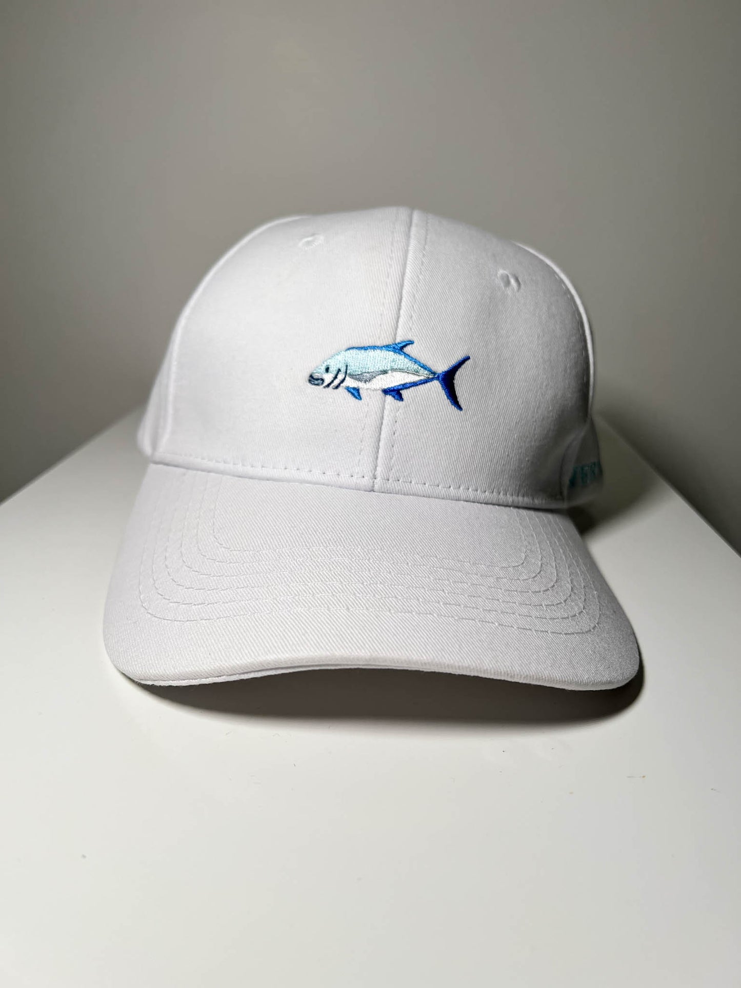 DISCOUNTED SAMPLE HAT