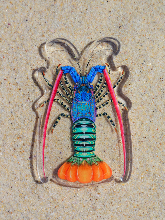 ORNATE LOBSTER FRIDGE MAGNET