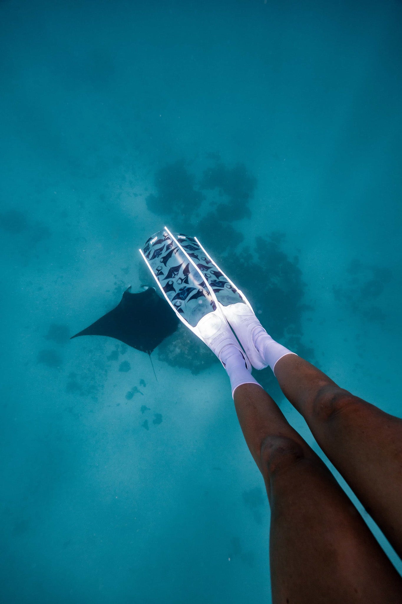 MANTA FIN WHITE (NON-MIRRORED)