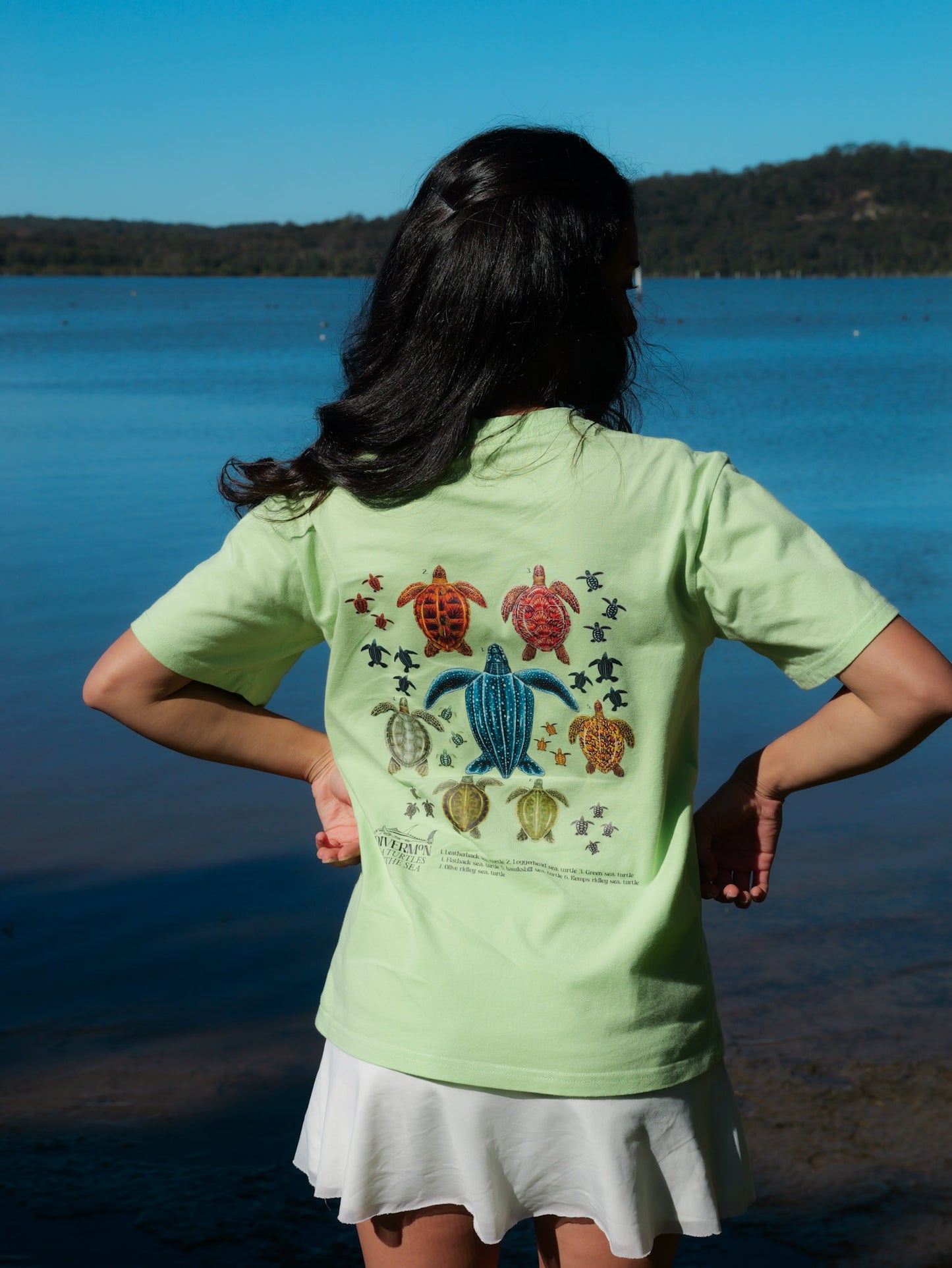 All sea turtle species marine life t shirt green Diver Mon Art ocean art