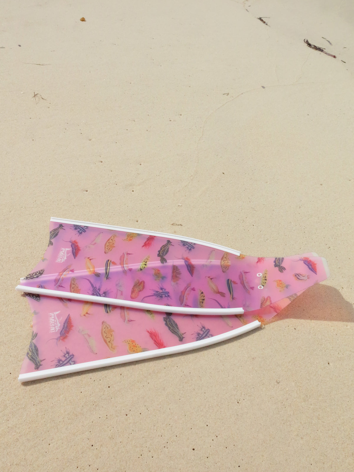 Short fins nudibranch