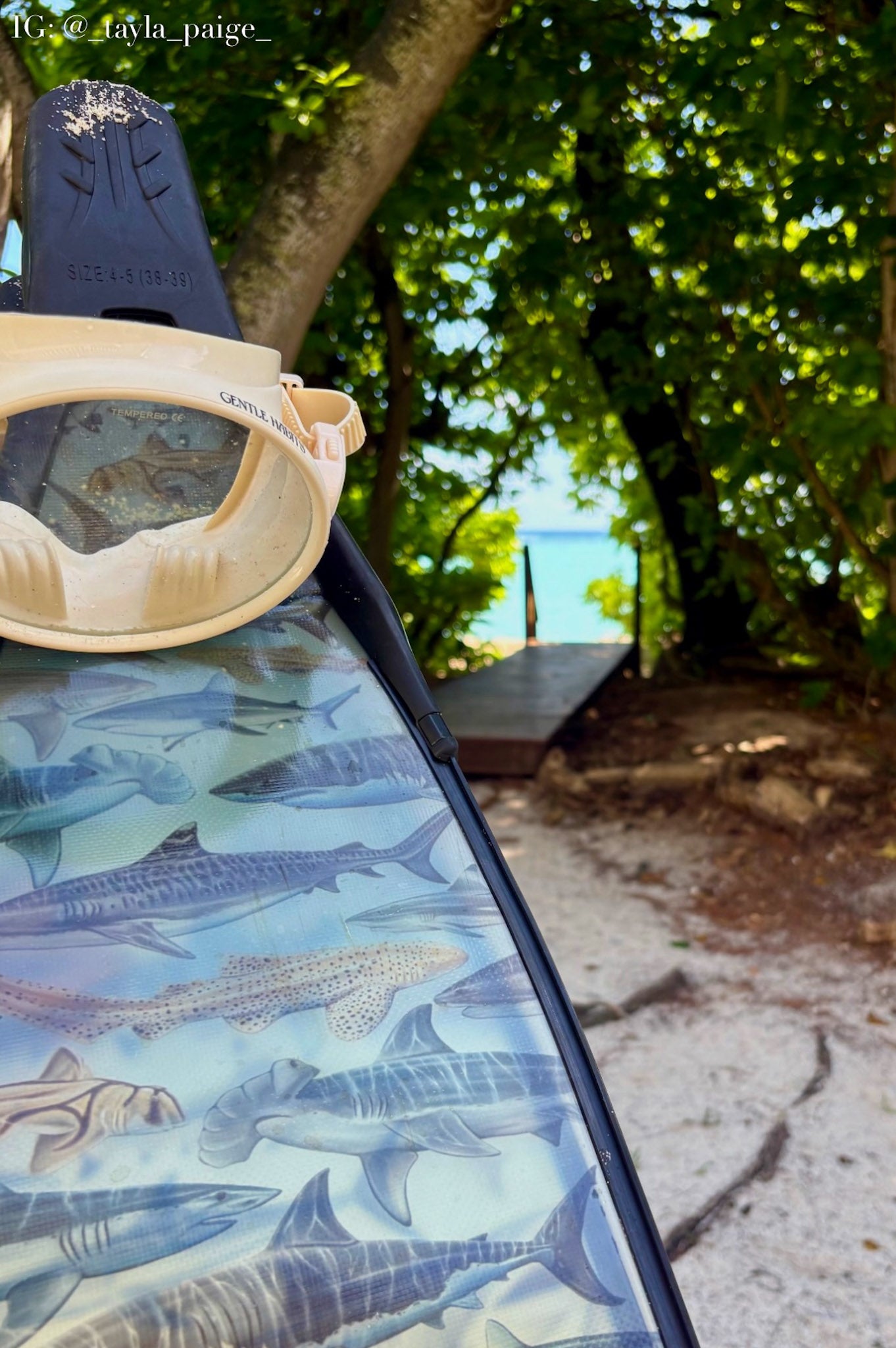 SHARK FREEDIVING FINS