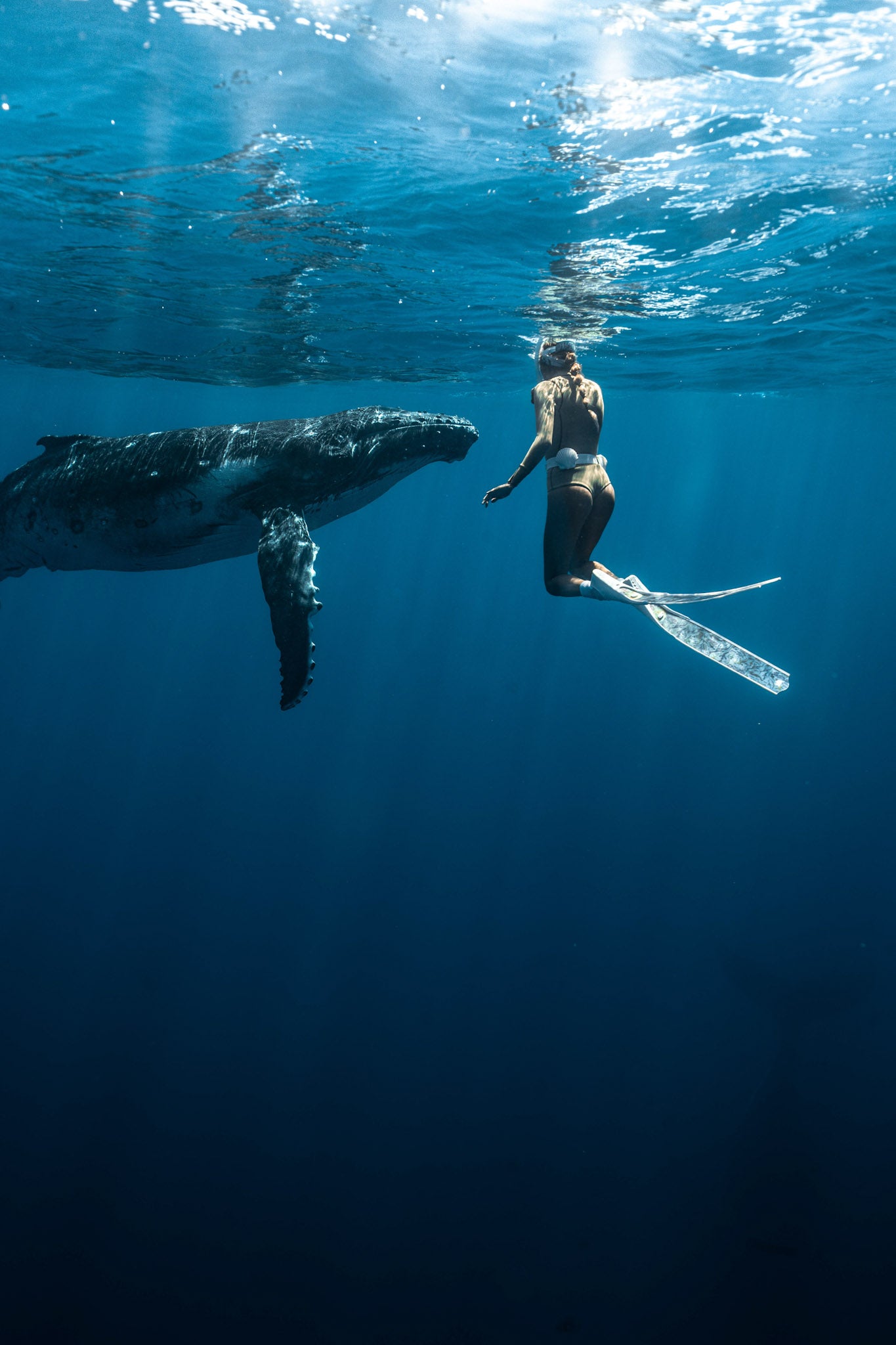 SEAHORSE FREEDIVING FINS