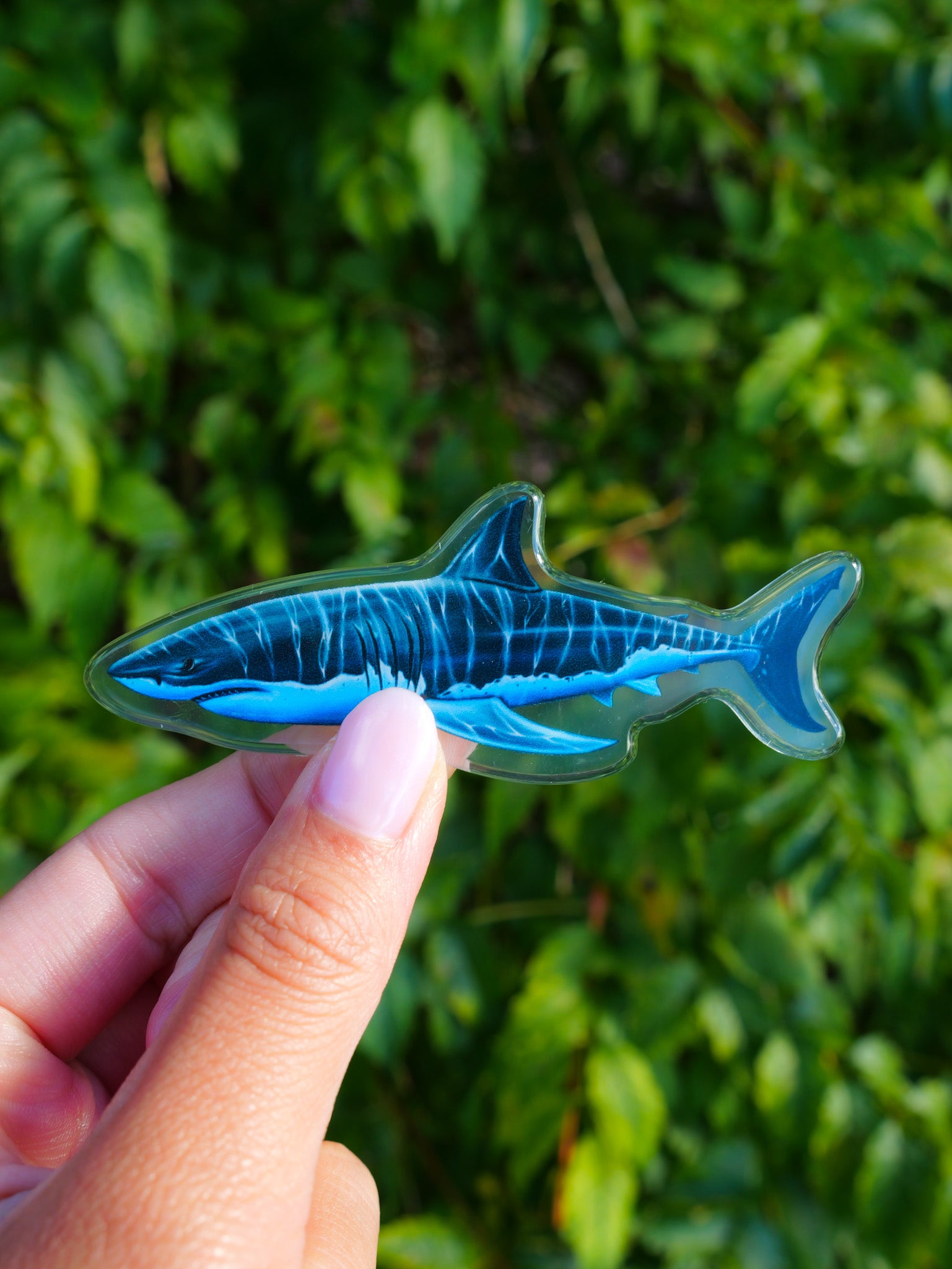 Blue Great White shark fridge magnet  held by a hand with a green leafy background