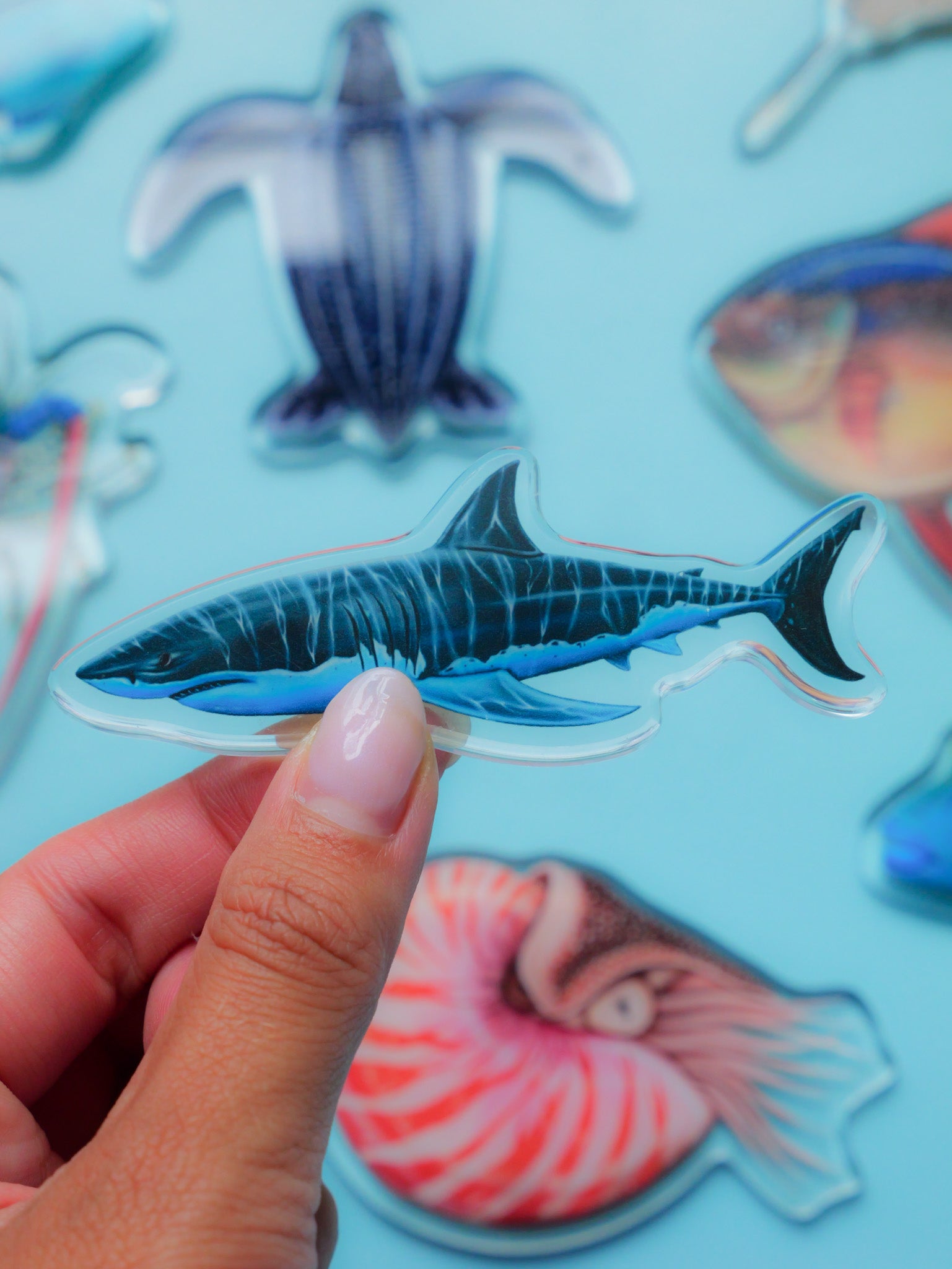 Hand holding a great white shark fridge magnet with other ocean magnets in the background on a light blue surface.