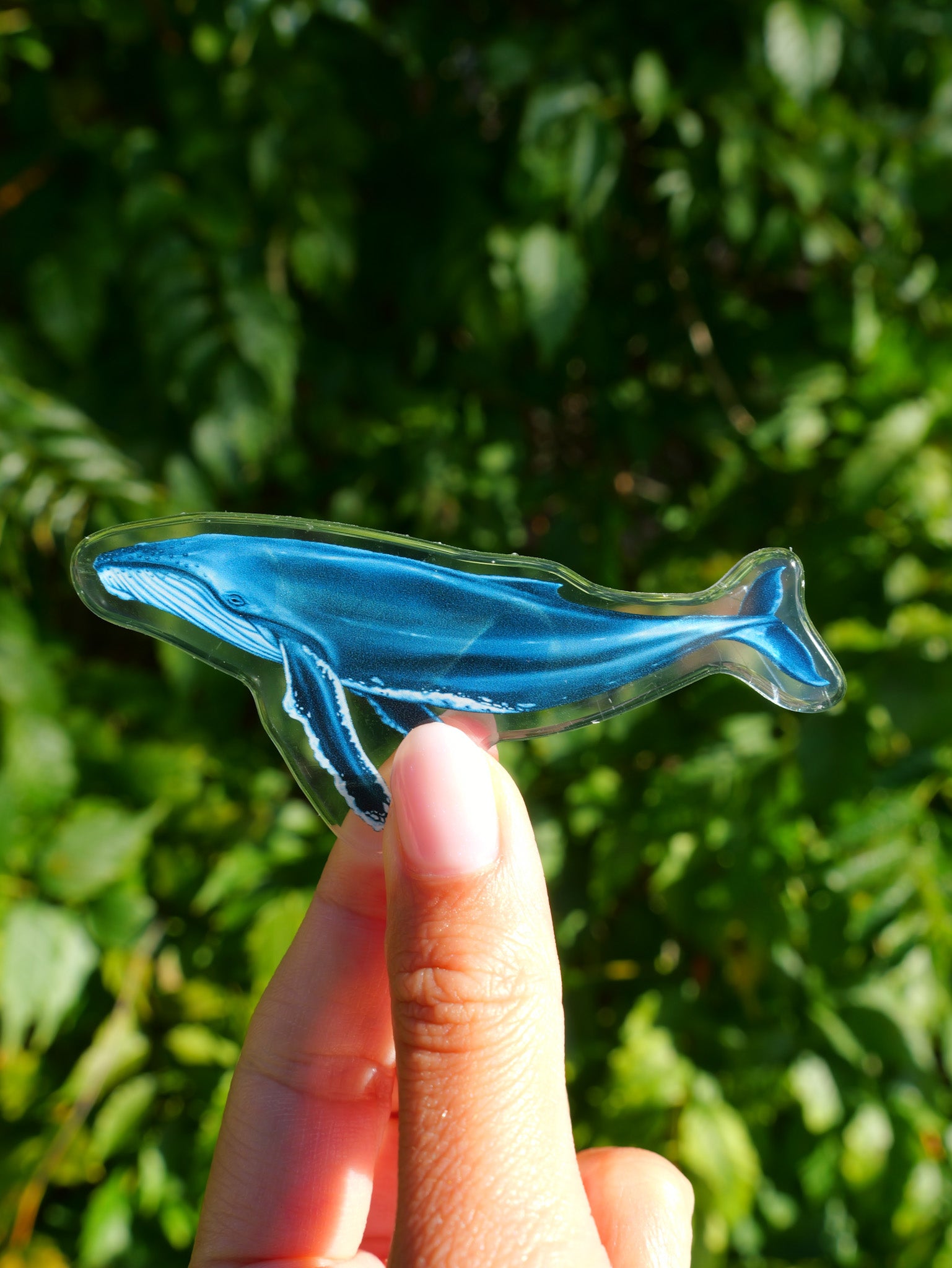 Humpback fridge magnet held by hand Divermon Art ocean print