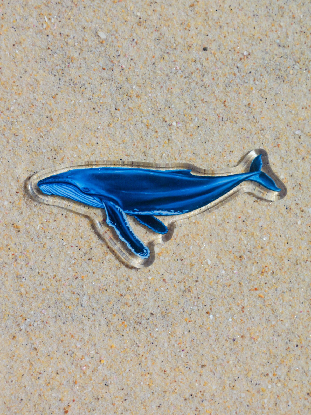 Humpback fridge magnet by Divermon Art featuring marine life artwork