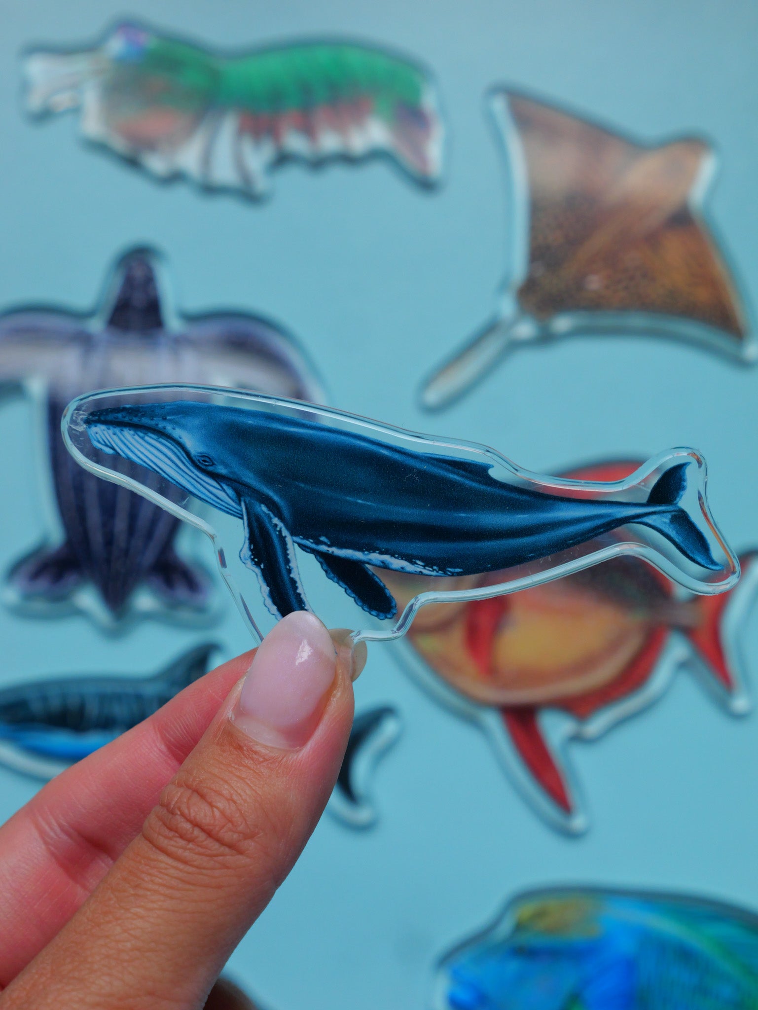 Humpback magnet detail close up Divermon Art ocean design
