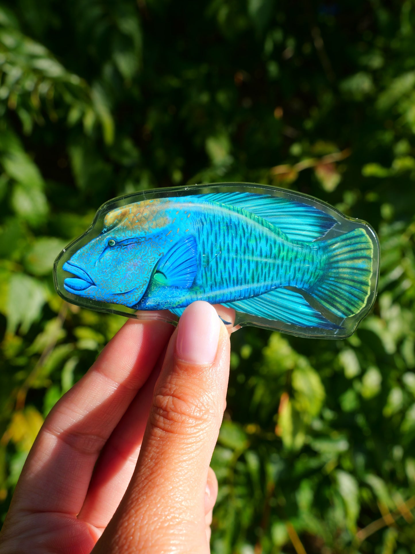 MĀORI WRASSE FRIDGE MAGNET