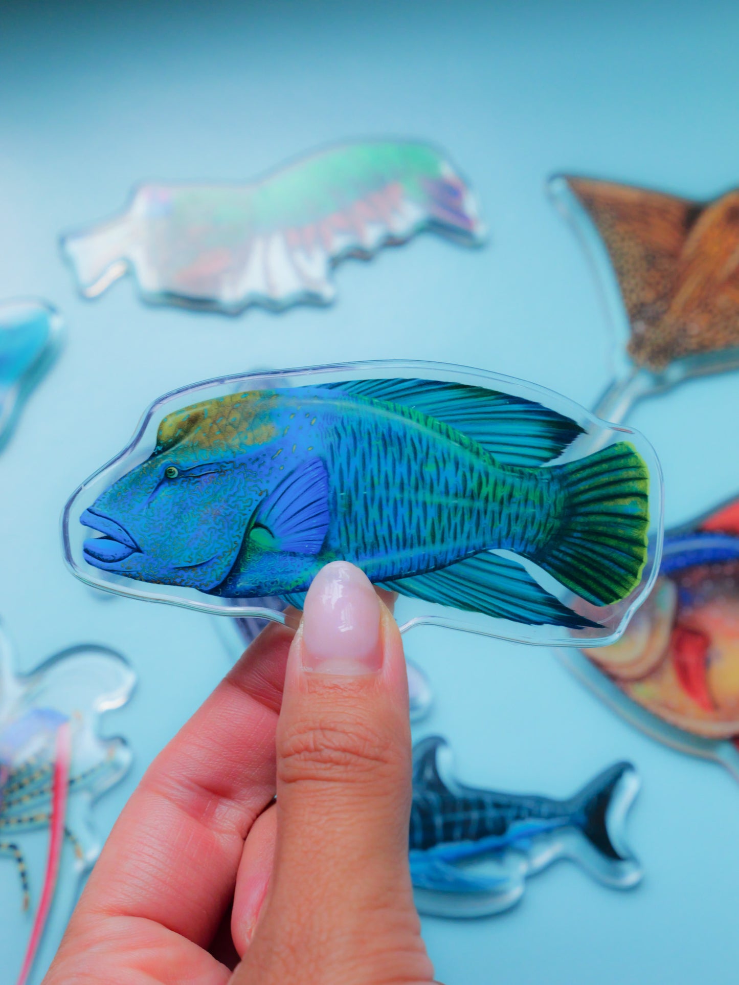 MĀORI WRASSE FRIDGE MAGNET