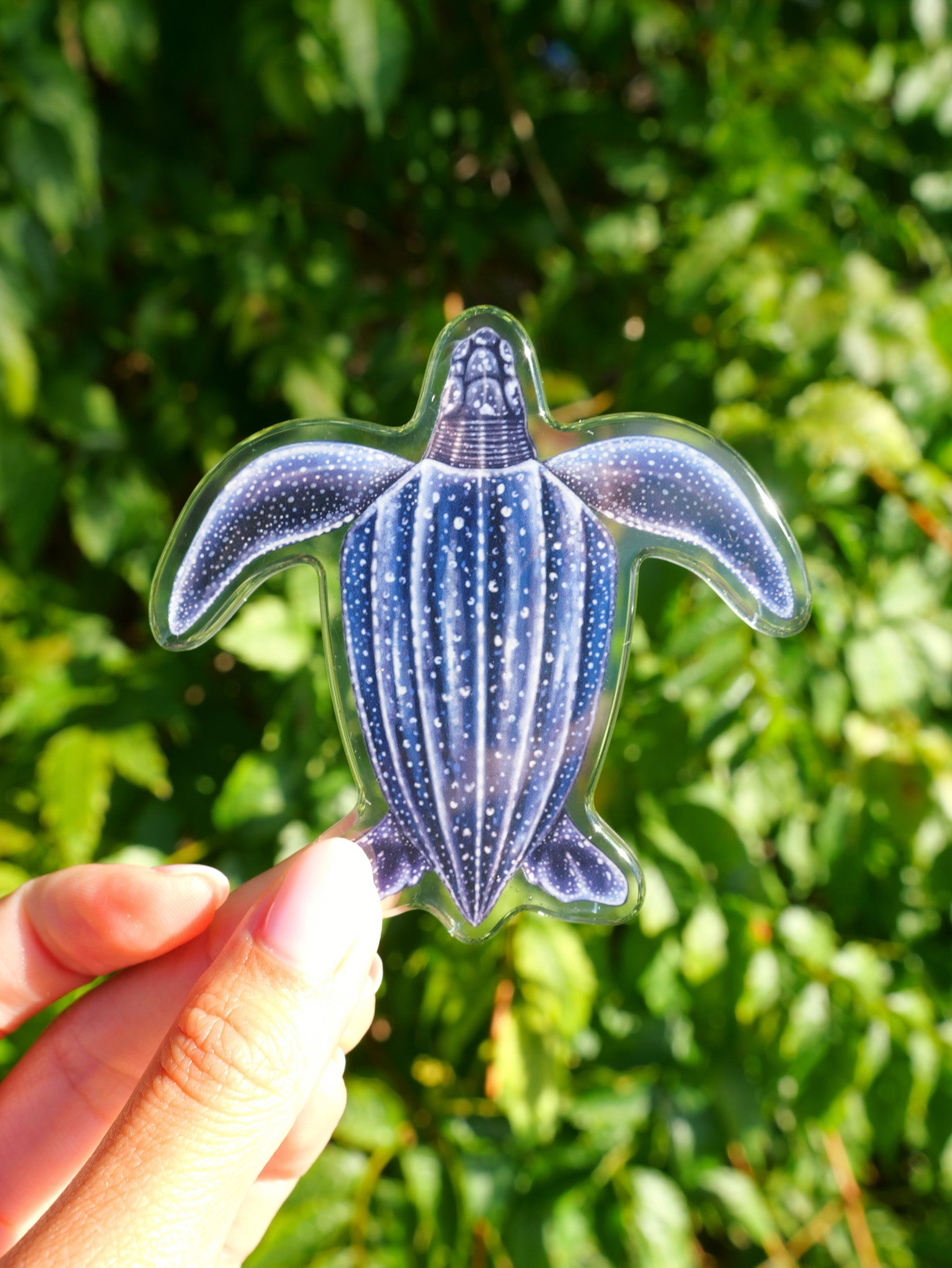 Collection of Divermon Art fridge magnets ocean marine life design