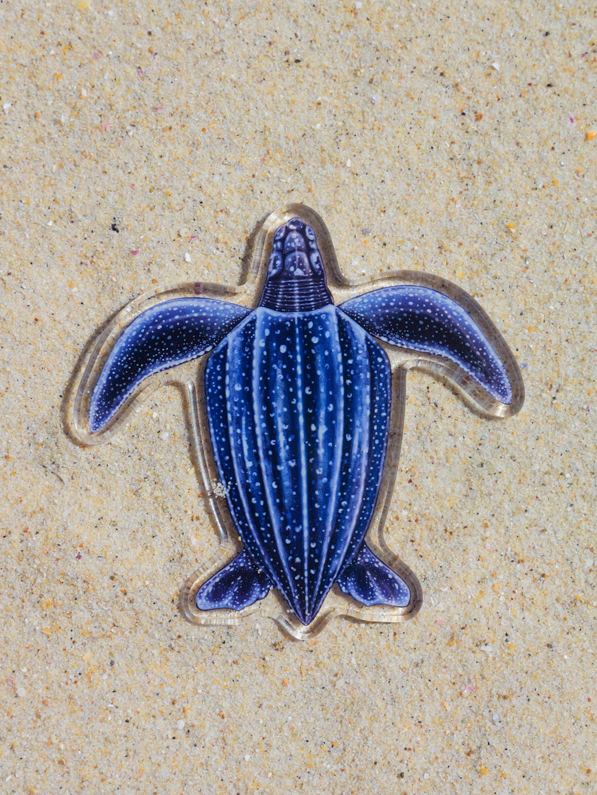 Leatherback Turtle fridge magnet by Divermon Art featuring marine life artwork
