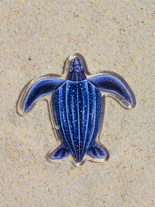 LEATHERBACK TURTLE FRIDGE MAGNET