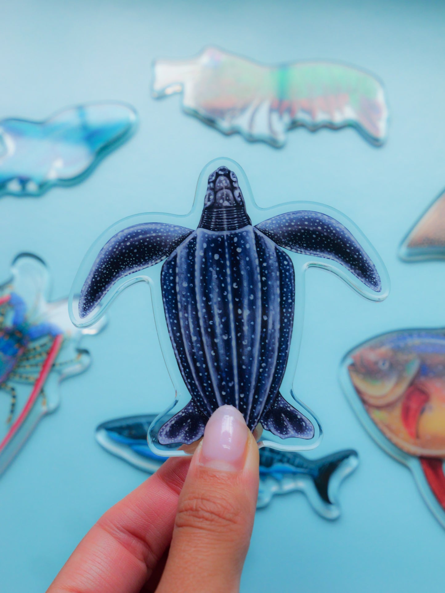 Leatherback Turtle magnet detail close up Divermon Art ocean design