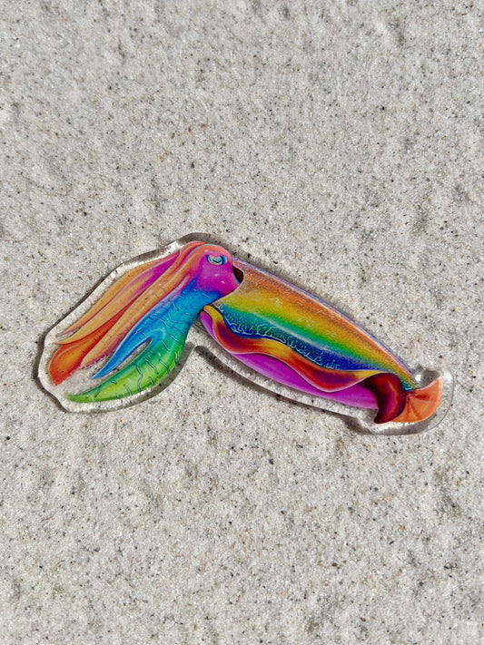 CUTTLEFISH FRIDGE MAGNET