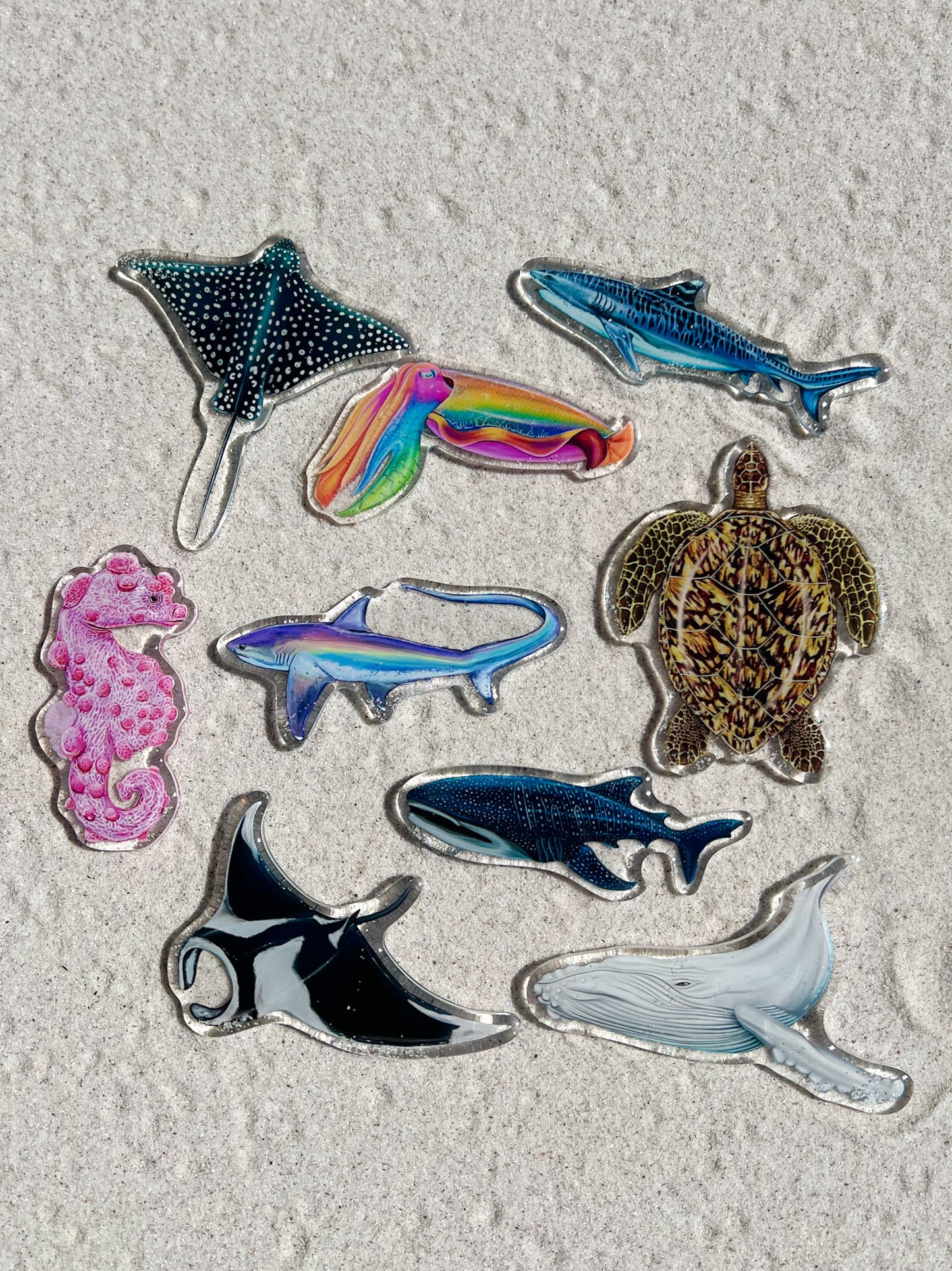 WHALE SHARK FRIDGE MAGNET
