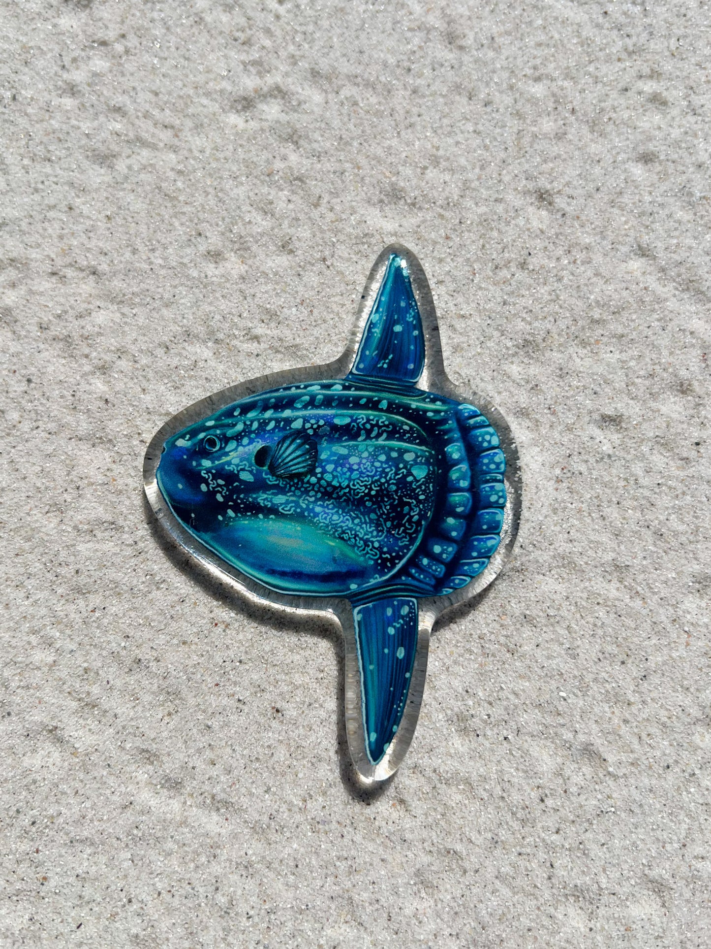 MOLA MOLA FRIDGE MAGNET