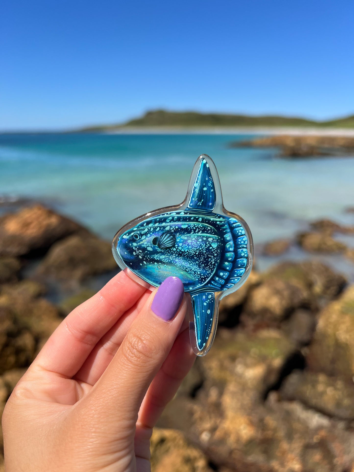 MOLA MOLA FRIDGE MAGNET